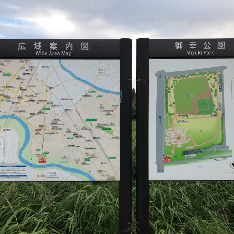 タッキーさんが投稿した御幸公園に関する口コミの画像