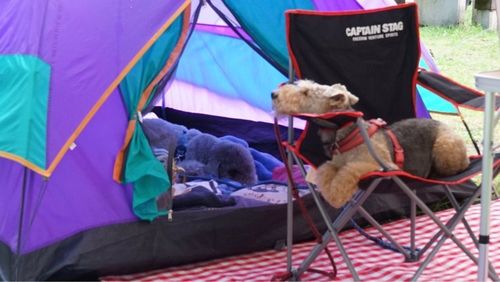 グリーンパークハチ北 2枚目