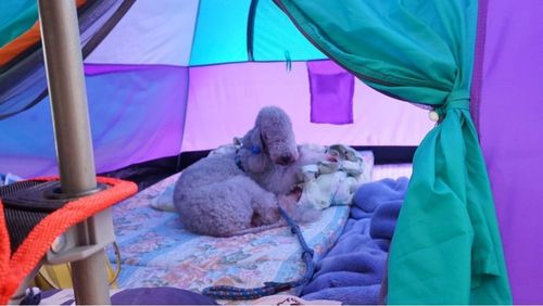 グリーンパークハチ北 3枚目