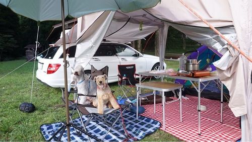 グリーンパークハチ北 4枚目