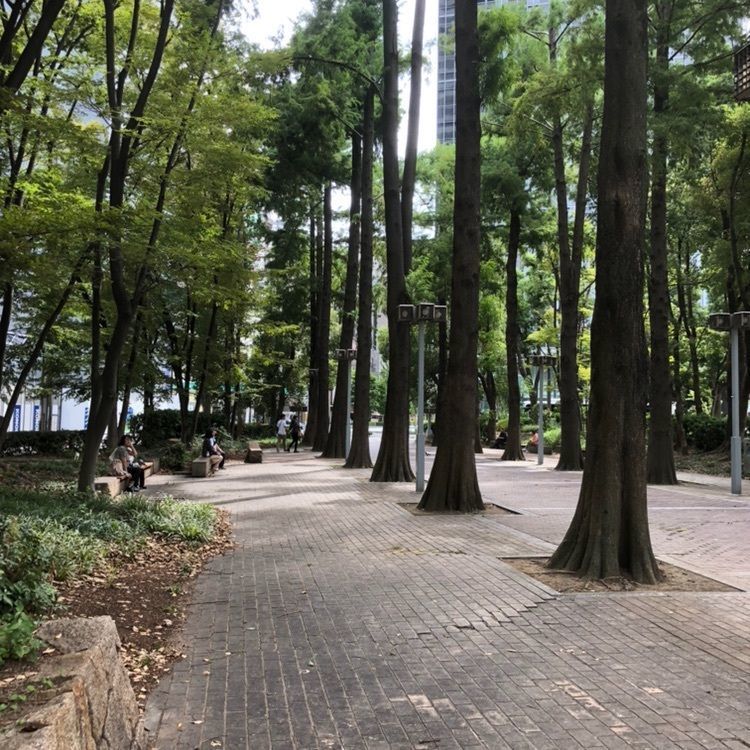 casual_market_124cさんが投稿したザ・シンフォニーホールに関する口コミの画像