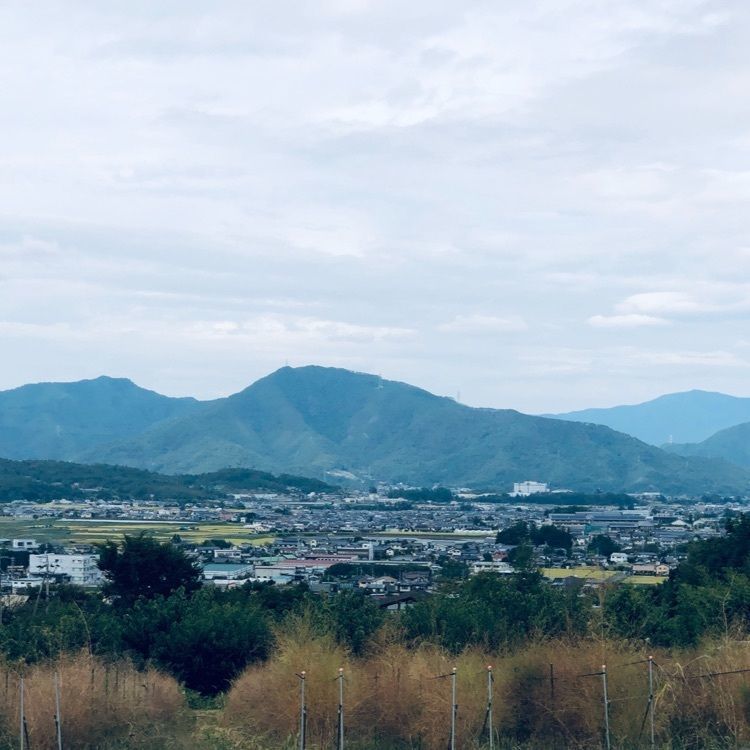 wonderfulさんが投稿した前山寺三重塔に関する口コミの画像