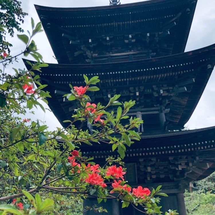 wonderfulさんが投稿した前山寺三重塔に関する口コミの画像
