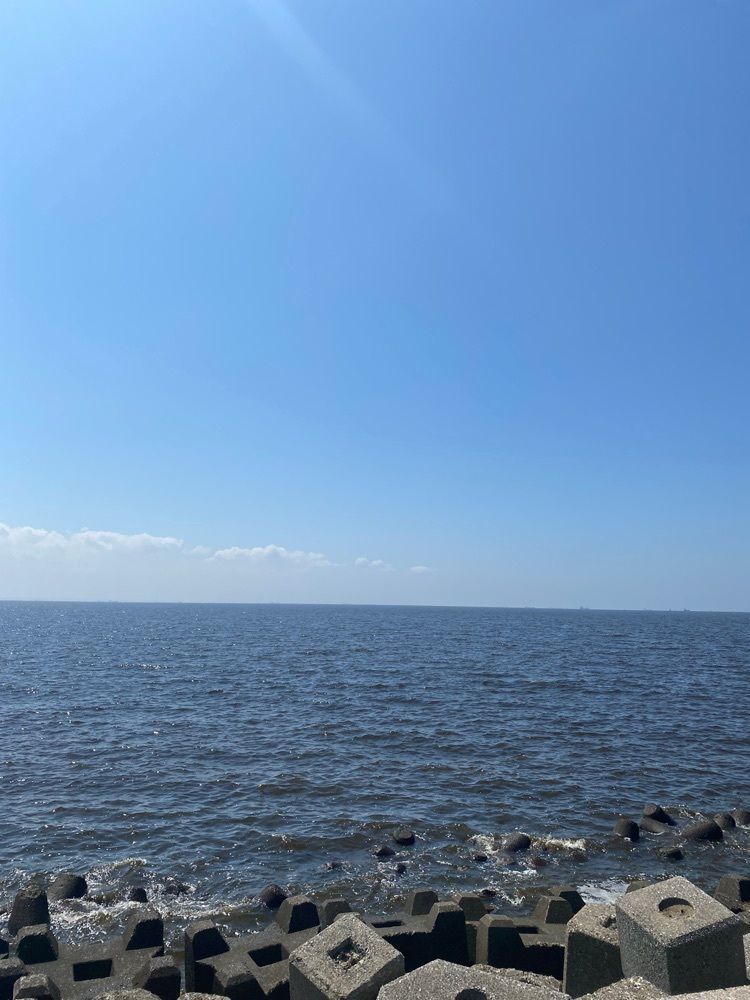 ピロピロ♂さんが投稿した茜浜緑地に関する口コミの画像
