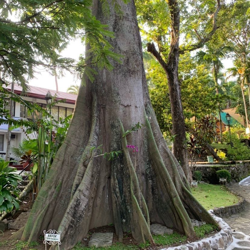 real_location_5f51さんが投稿した画像の画像