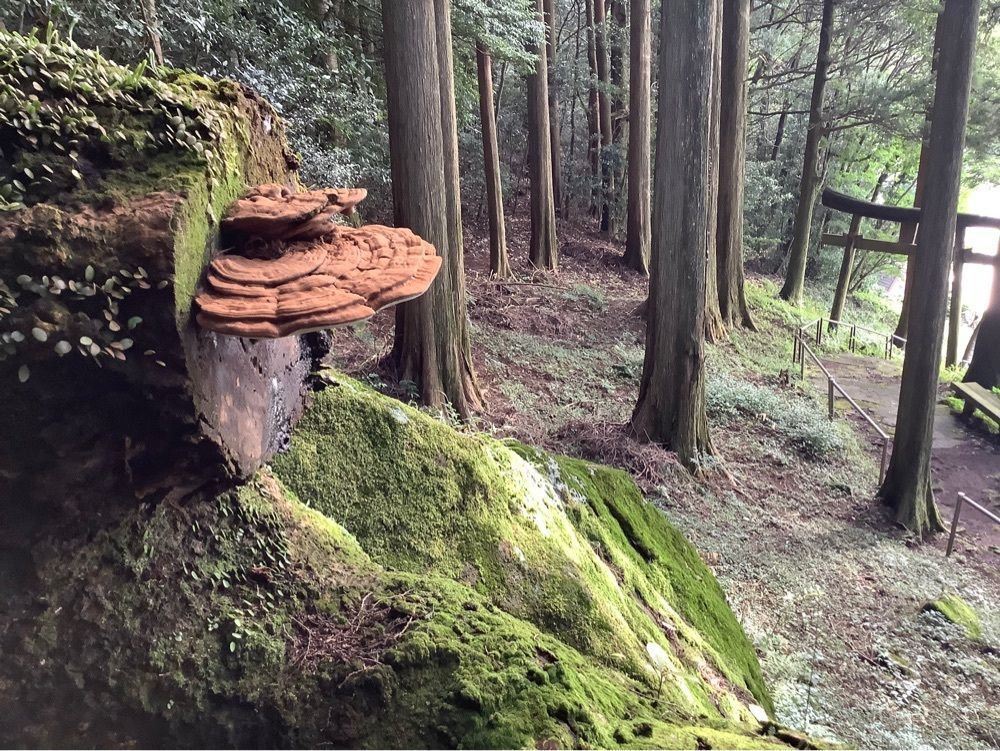 festive_garden_7486さんが投稿した大黒天像に関する口コミの画像