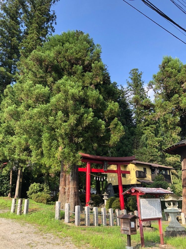 からっ風②さんが投稿した矢倉の神代杉に関する口コミの画像
