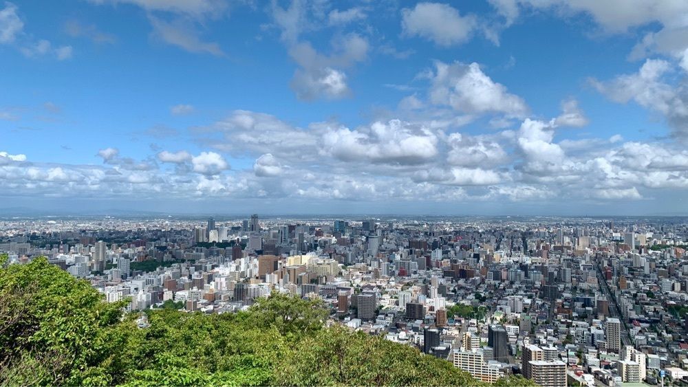 96_take4さんが投稿した円山原始林に関する口コミの画像