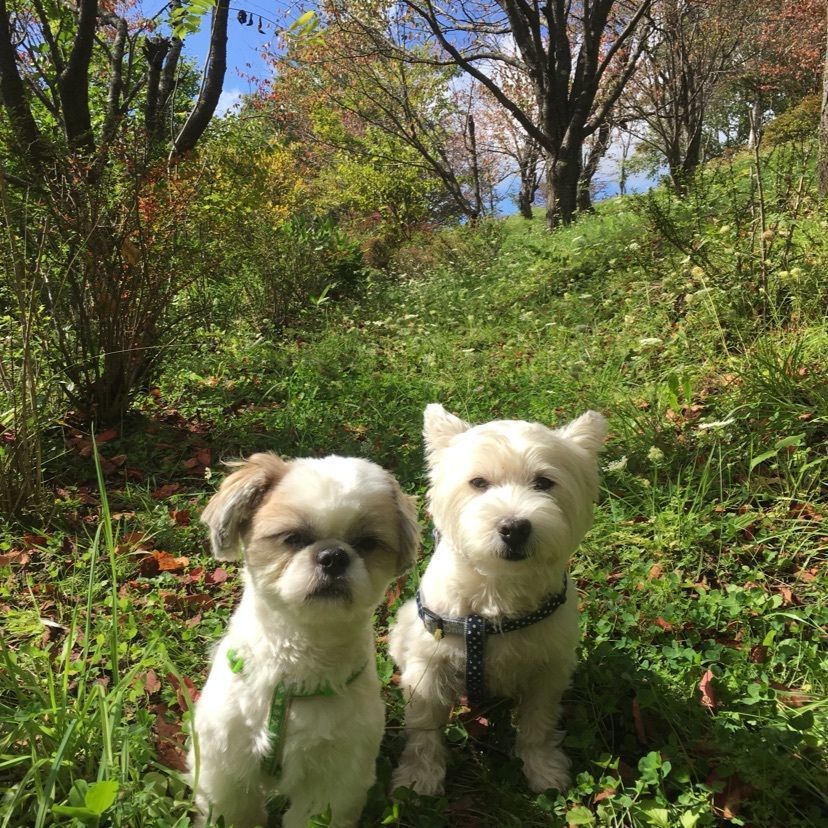 パレ＆シアさんが投稿した北見フラワーパラダイスに関する口コミの画像