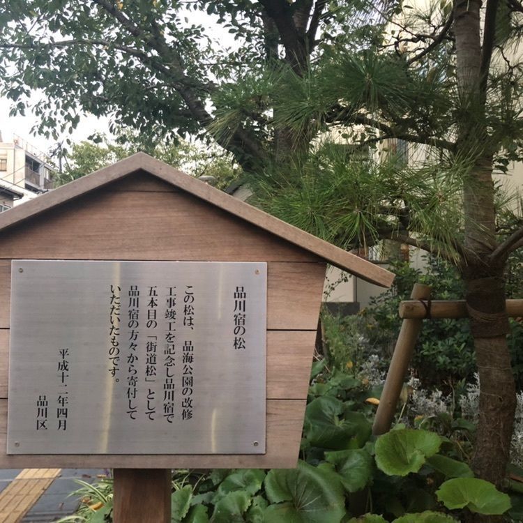 タッキーさんが投稿した東海道品川宿に関する口コミの画像