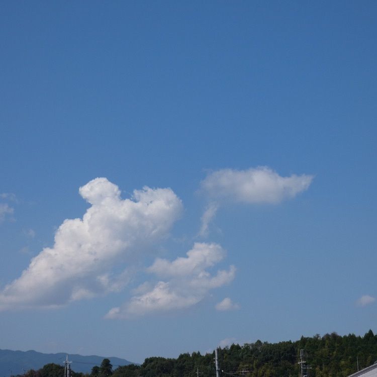joyful_landscape_715eさんが投稿したつぼさか茶屋に関する口コミの画像