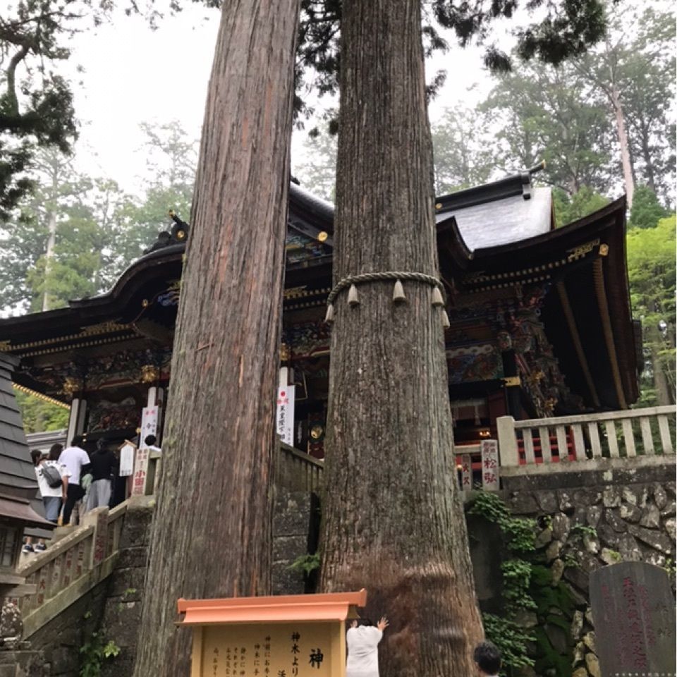 vast_studio_11a8さんが投稿した大島屋に関する口コミの画像