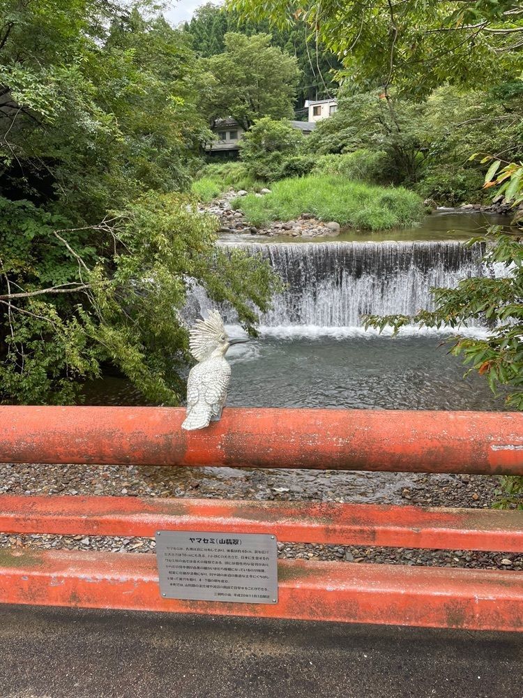 じゅりあんさんが投稿した三佛寺に関する口コミの画像
