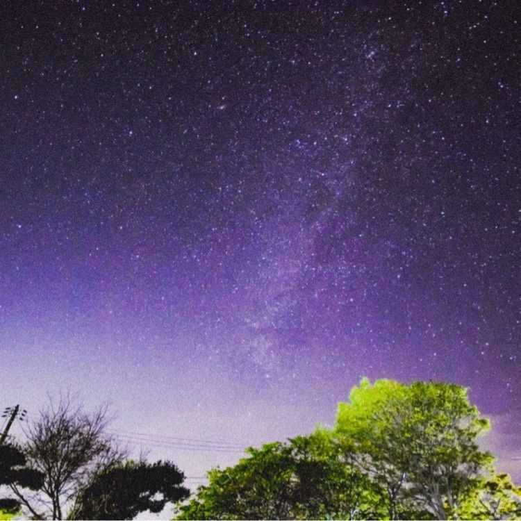 MinionPapaさんが投稿した画像の画像