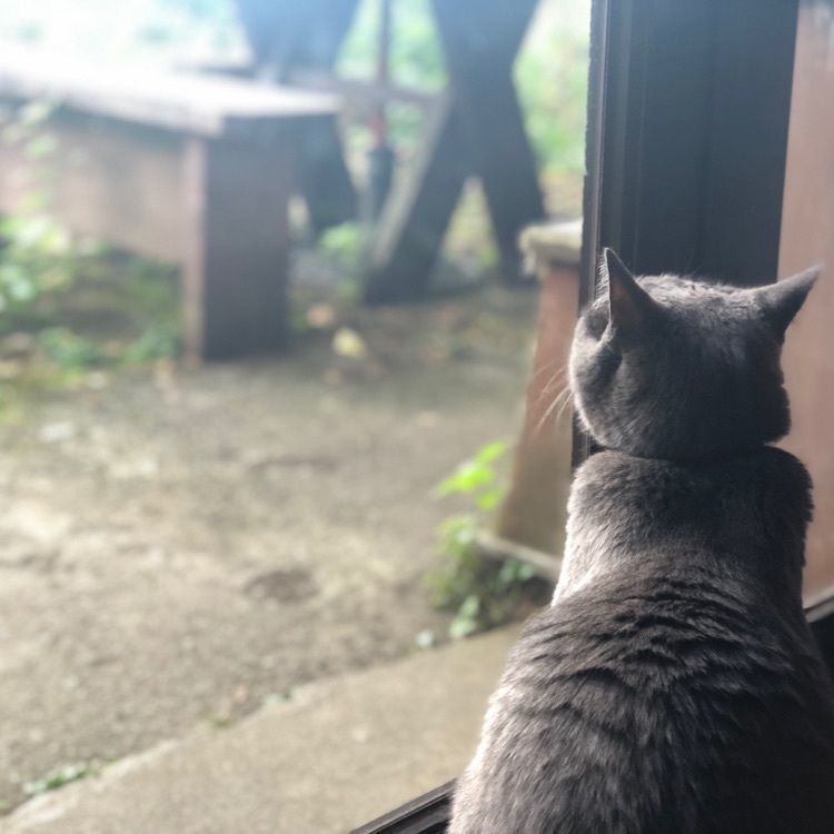 sa_12さんが投稿したカフェ・ポンシャに関する口コミの画像