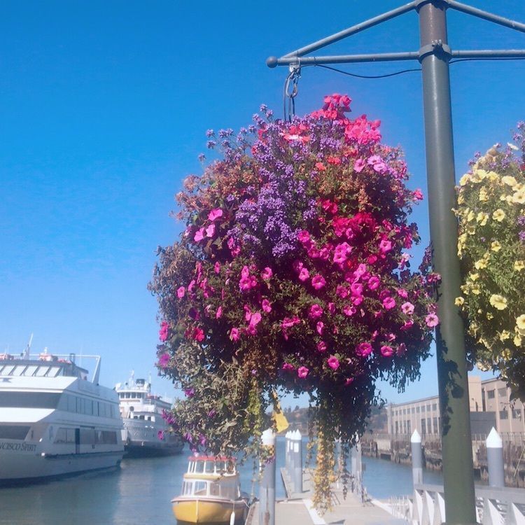 reinamobyさんが投稿したpier 3に関する口コミの画像