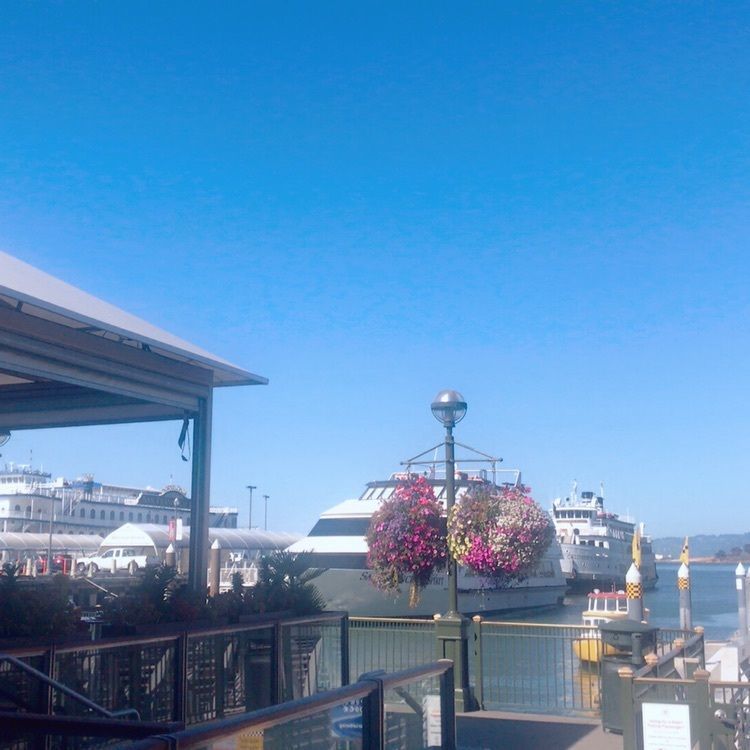 reinamobyさんが投稿したpier 3に関する口コミの画像