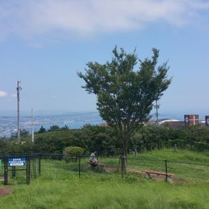 玄林館 別府湾サービスエリア 上り線 6枚目