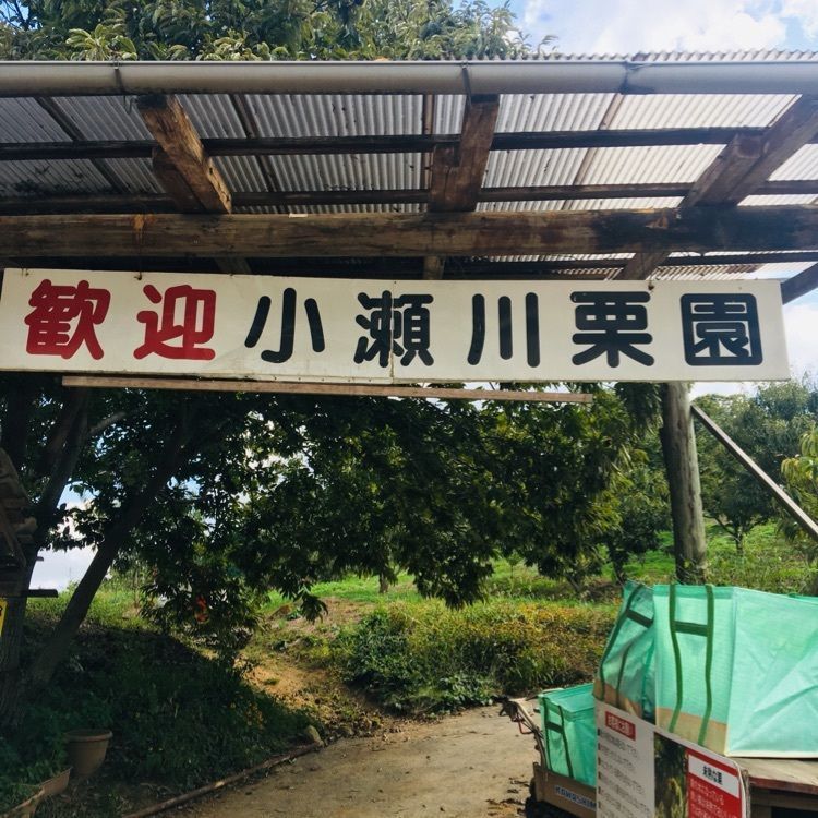 みーなさんが投稿した小瀬川栗園に関する口コミの画像