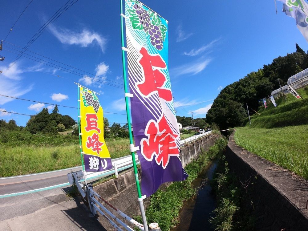 ruujunさんが投稿した淡路島フルーツ農園に関する口コミの画像