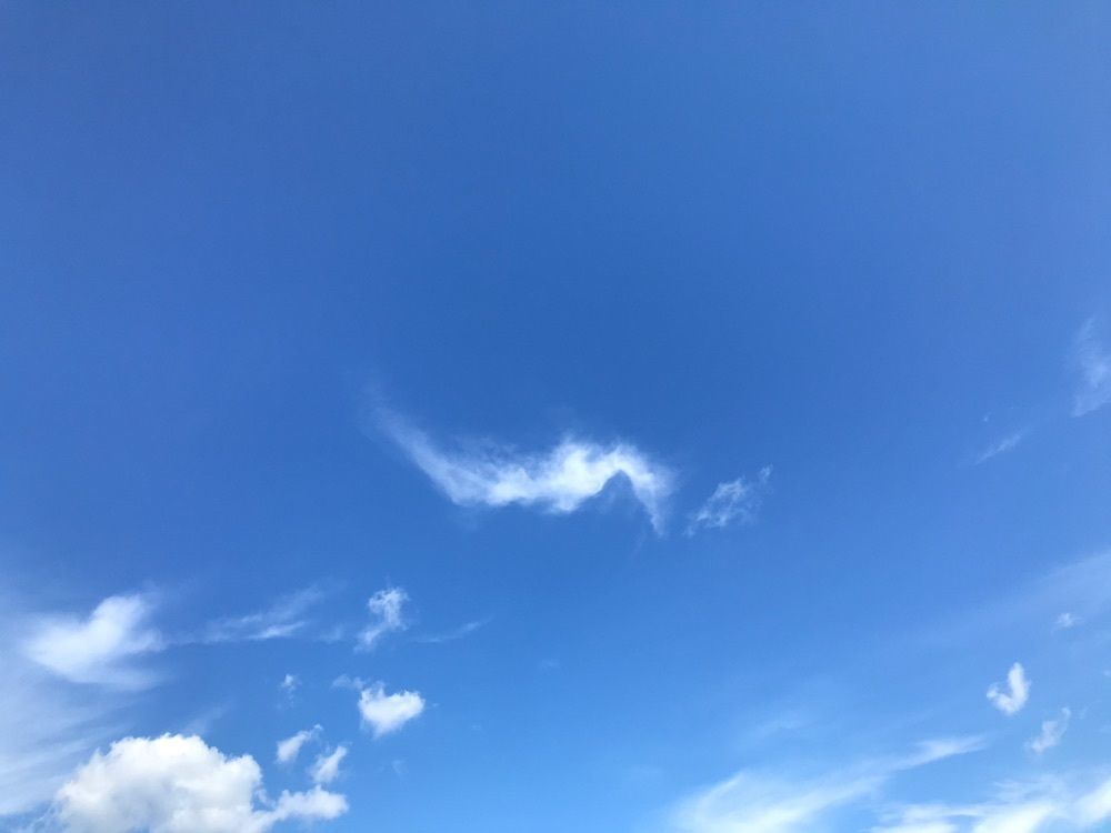ruujunさんが投稿した淡路島フルーツ農園に関する口コミの画像