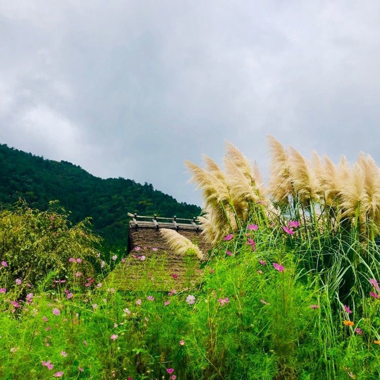 momの画像