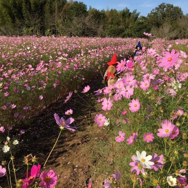 夏月さんが投稿した塚原古墳公園に関する口コミの画像
