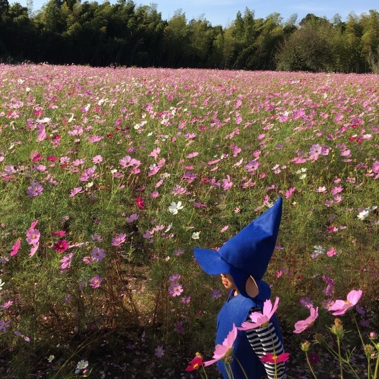 夏月さんが投稿した塚原古墳公園に関する口コミの画像