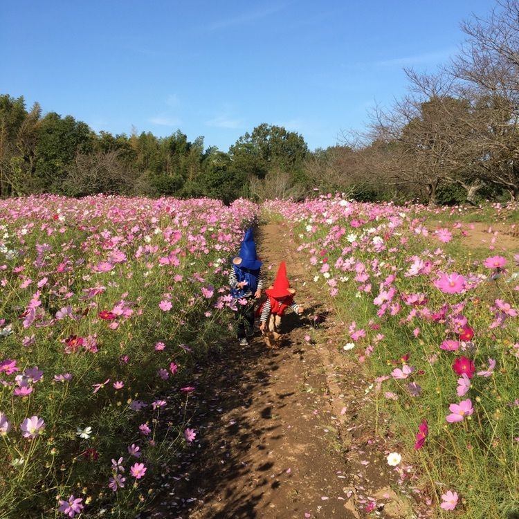 夏月さんが投稿した塚原古墳公園に関する口コミの画像