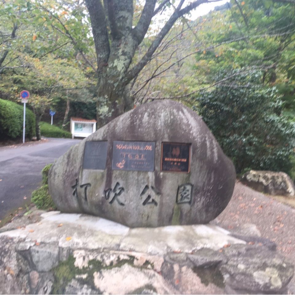 みかんさんが投稿した打吹公園に関する口コミの画像