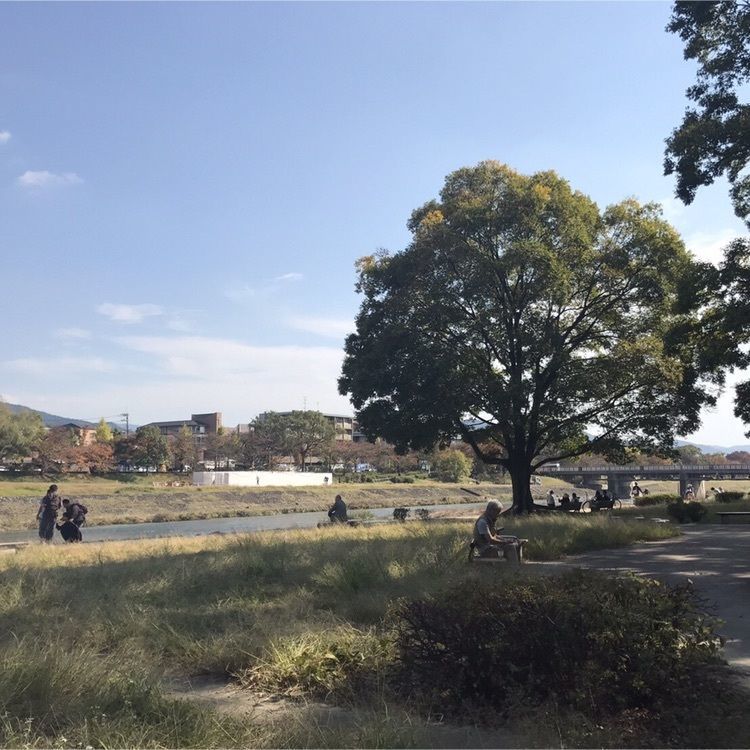 reinamobyさんが投稿した鴨川デルタに関する口コミの画像
