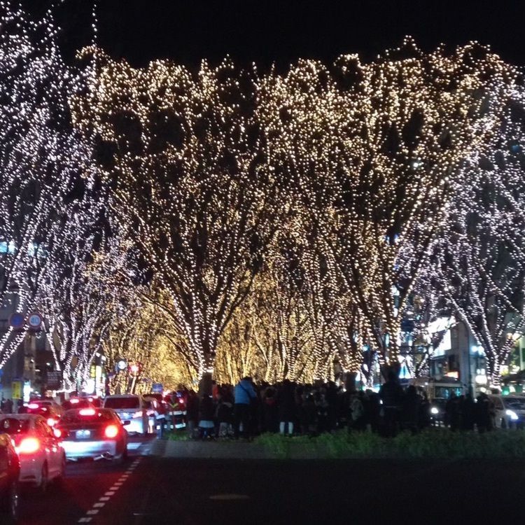 reinamobyさんが投稿した2017 SENDAI 光のページェントに関する口コミの画像