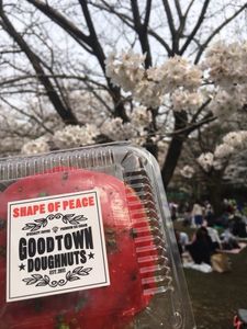 代々木公園ケヤキ並木