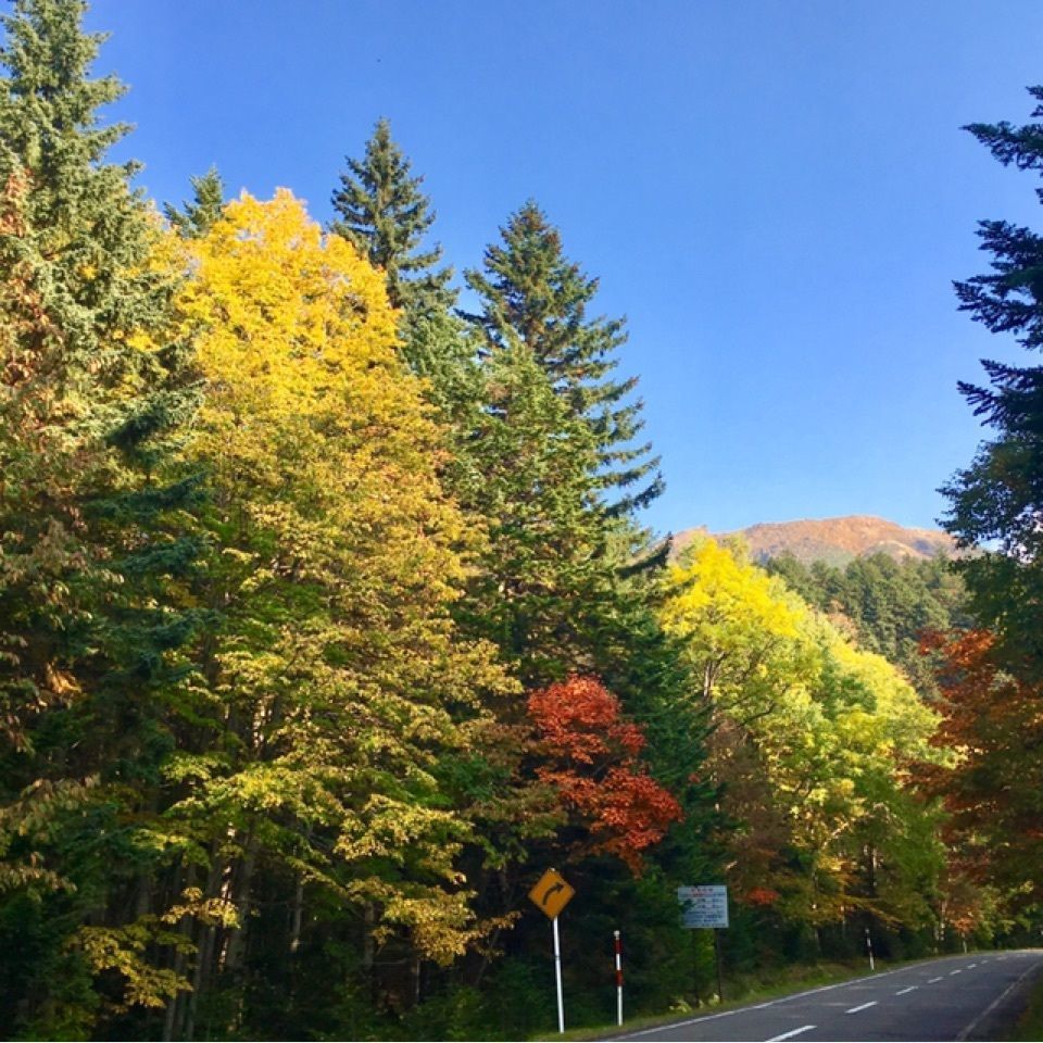 yoshiさんが投稿した雌阿寒岳に関する口コミの画像