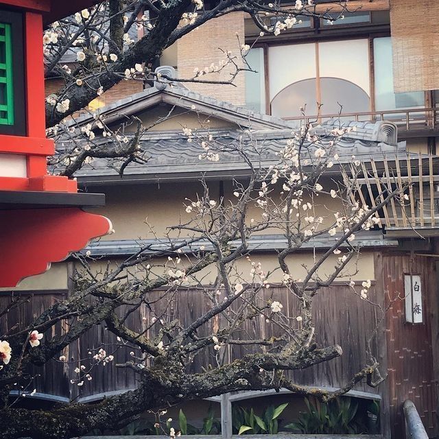 おでかけ探検部さんが投稿した料理旅館白梅（しらうめ）に関する口コミの画像