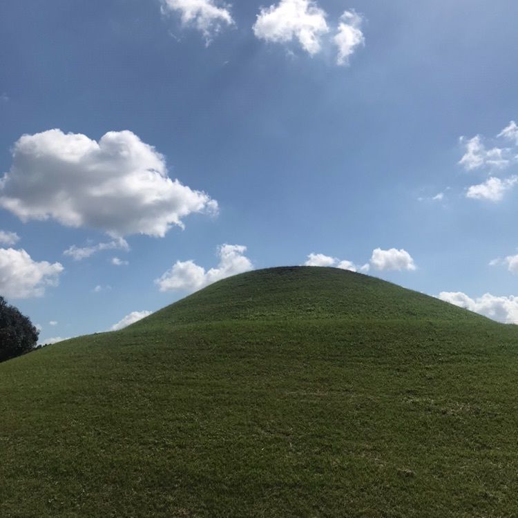 rikodamaさんが投稿した石人山古墳に関する口コミの画像