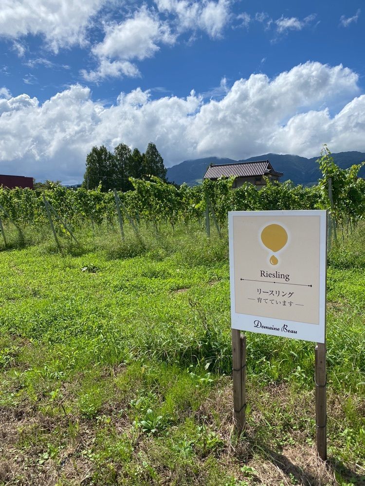 Masaru asaiさんが投稿した立野原観光農園に関する口コミの画像