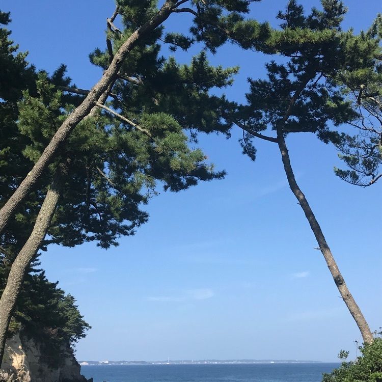Musashiさんが投稿した六角堂に関する口コミの画像
