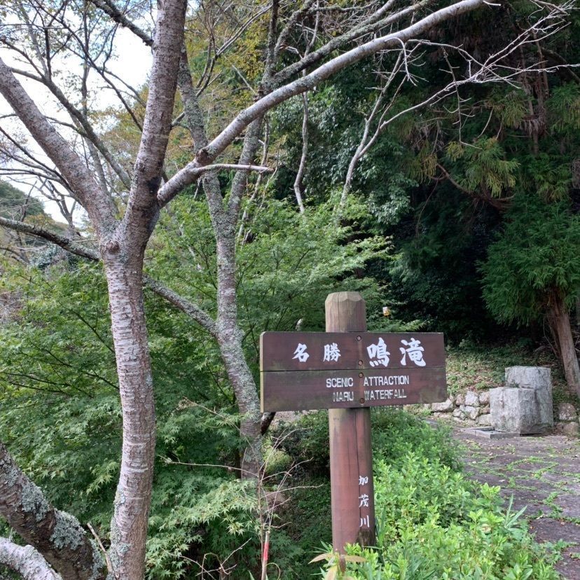 さくらさんが投稿した国立吉備青少年自然の家キャンプ場に関する口コミの画像