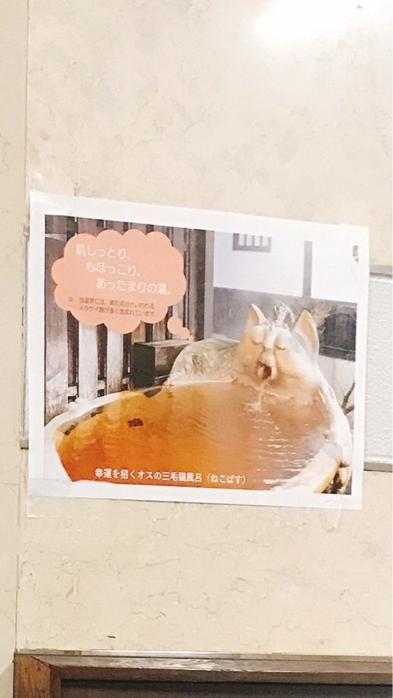 猫なぎ。さんが投稿した大石田町観光案内に関する口コミの画像
