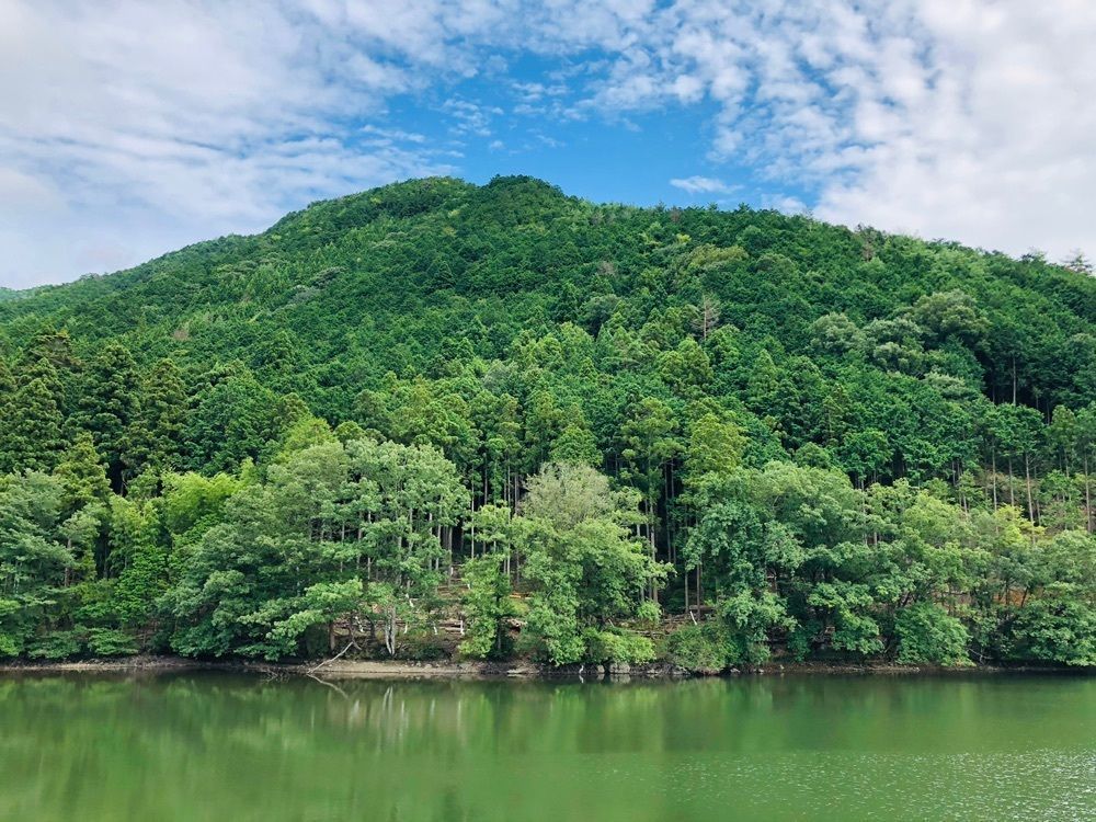 ゆうさんが投稿した水分れ公園・資料館に関する口コミの画像