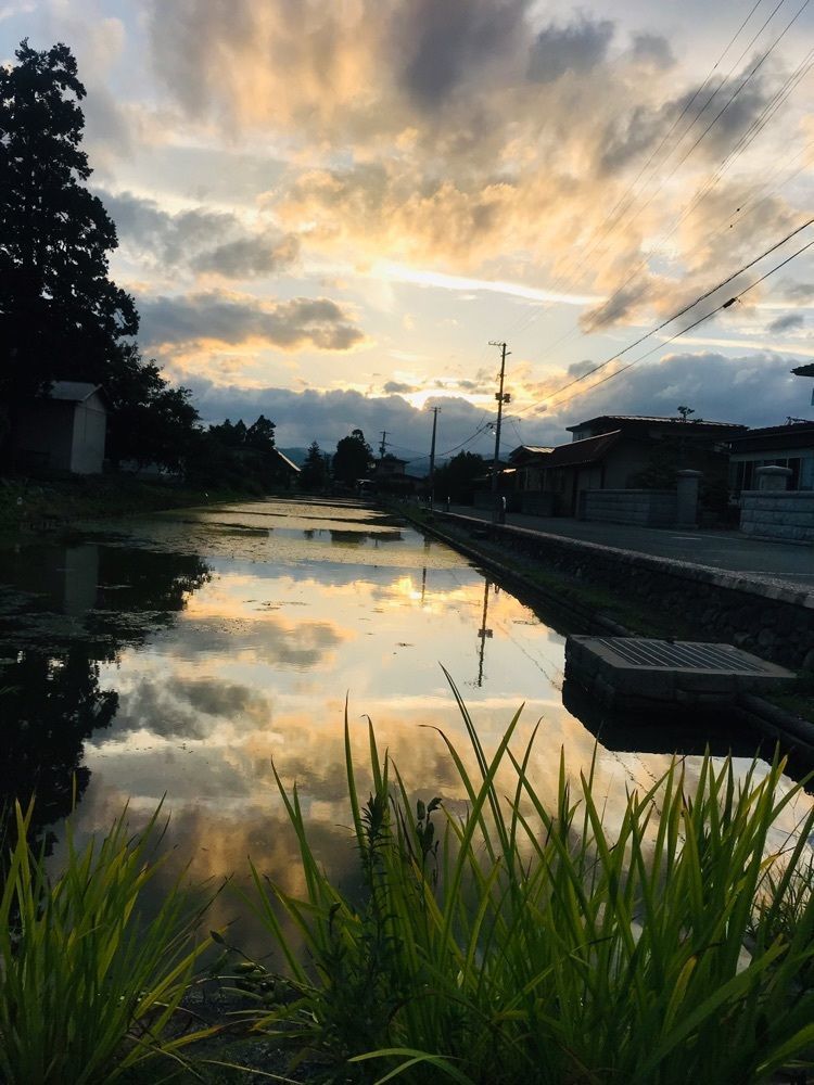 猫なぎ。さんが投稿した長瀞城跡（長瀞陣屋跡）に関する口コミの画像