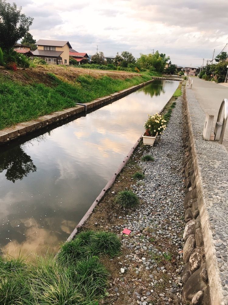 猫なぎ。さんが投稿した長瀞城跡（長瀞陣屋跡）に関する口コミの画像