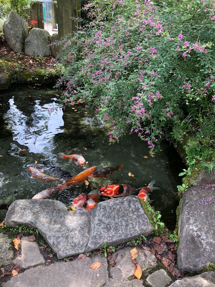 Nさんが投稿したハーブカフェ&カフェテラスに関する口コミの画像