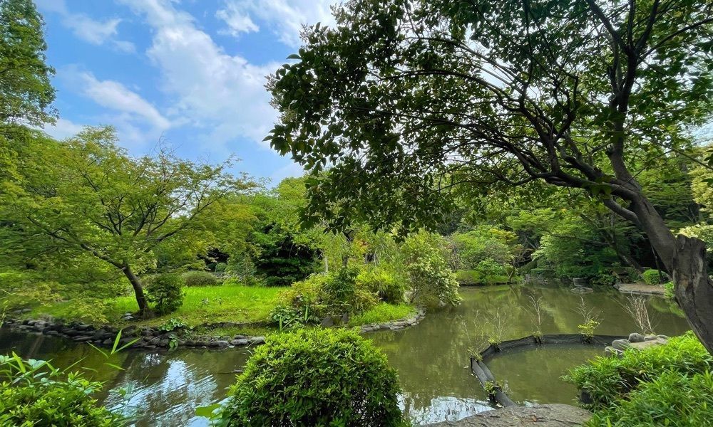 りかるさんが投稿した有栖川宮記念公園（ありすがわのみや）に関する口コミの画像