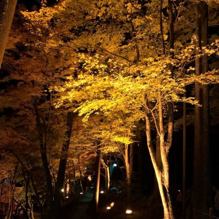 active_location_262aさんが投稿した香嵐渓園地に関する口コミの画像