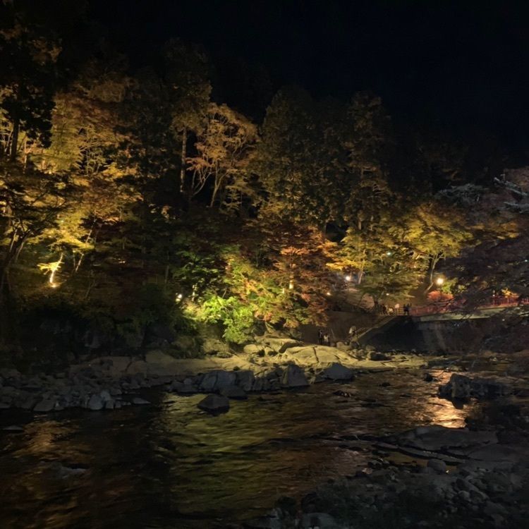 active_location_262aさんが投稿した香嵐渓園地に関する口コミの画像