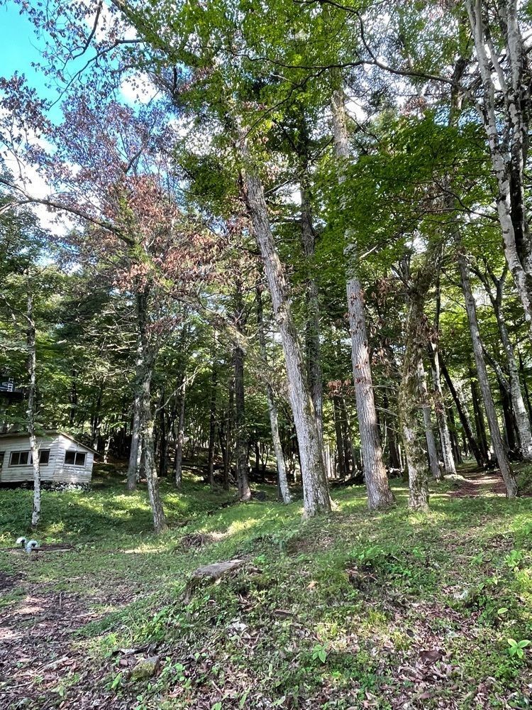 Daisukeさんが投稿した山中湖畔　リゾートキャンプ　撫岳荘に関する口コミの画像