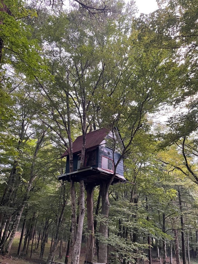 Daisukeさんが投稿した山中湖畔　リゾートキャンプ　撫岳荘に関する口コミの画像