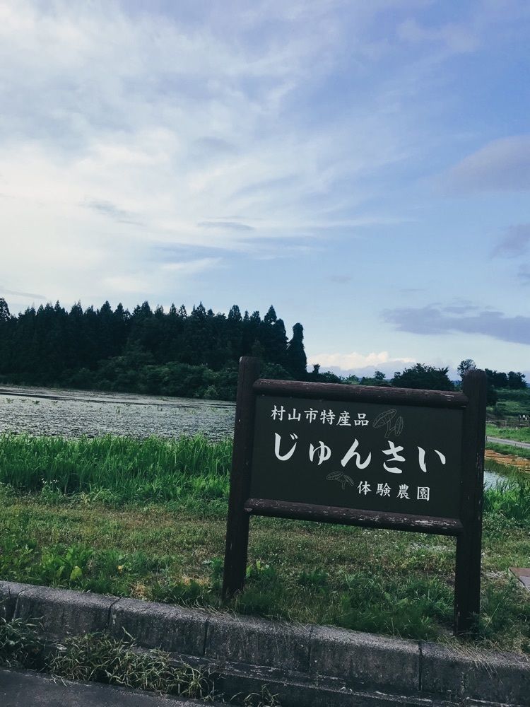 猫なぎ。さんが投稿したじゅんさいに関する口コミの画像